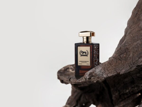 Giorgio Puissance Brune 07 Eau De Parfum - 100ML