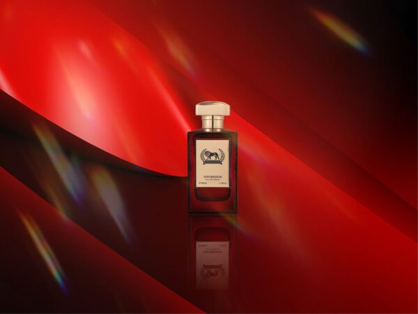 Giorgio Sany Rouge 08 Eau De Parfum - 100ML