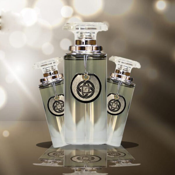 WhatsApp-Image-2025-10-04-at-14.26.38-2 (1) giorgio silver intense gold